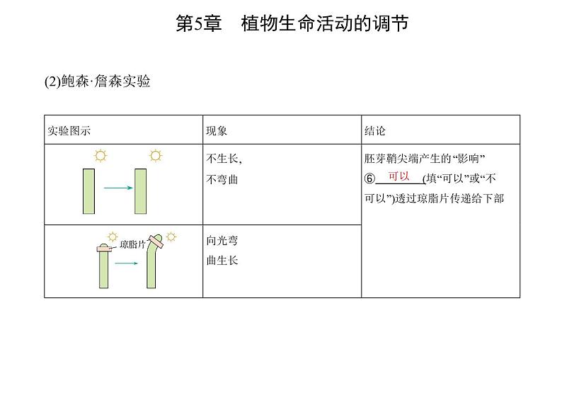 2021-2022学年高中生物新人教版选择性必修1  第5章 第1节　植物生长素 课件（21张）第4页