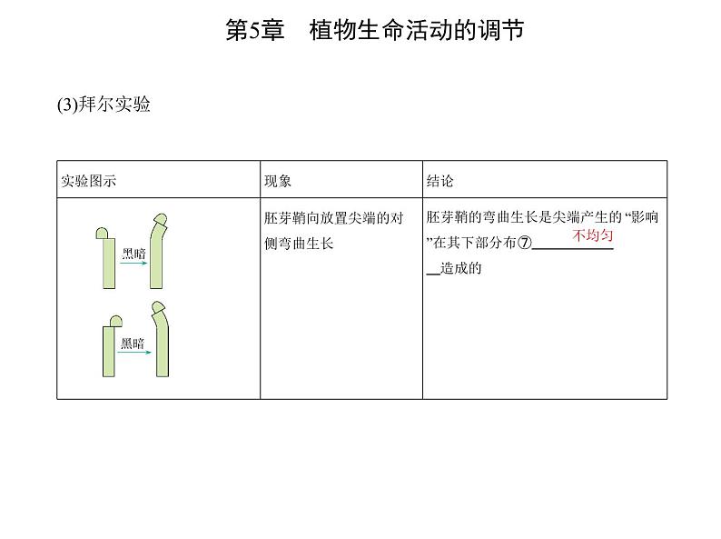 2021-2022学年高中生物新人教版选择性必修1  第5章 第1节　植物生长素 课件（21张）第5页