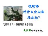 2021-2022学年高中生物新人教版选择性必修1  第5章 第1节 免疫学的应用 课件（69张）