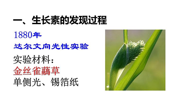 2021-2022学年高中生物新人教版选择性必修1  第5章 第1节 免疫学的应用 课件（69张）第4页