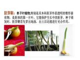 2021-2022学年高中生物新人教版选择性必修1  第5章 第1节 免疫学的应用 课件（69张）
