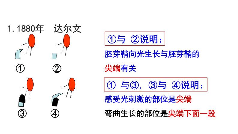 2021-2022学年高中生物新人教版选择性必修1  第5章 第1节 免疫学的应用 课件（69张）第7页