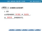 2021-2022学年高中生物新人教版选择性必修1  第5章 第4节 环境因素参与调节植物的生命活动 课件（64张）
