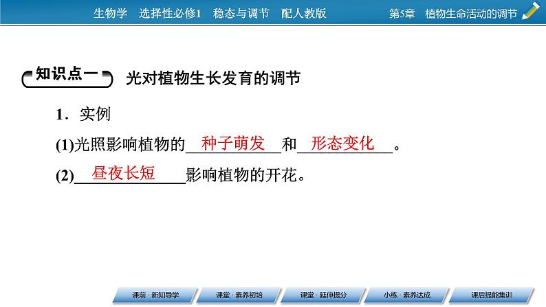 2021-2022学年高中生物新人教版选择性必修1  第5章 第4节 环境因素参与调节植物的生命活动 课件（64张）第4页