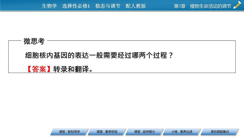 2021-2022学年高中生物新人教版选择性必修1  第5章 第4节 环境因素参与调节植物的生命活动 课件（64张）第6页