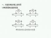 2021-2022学年高中生物新人教版选择性必修1 神经冲动的产生和传导 课件（43张）