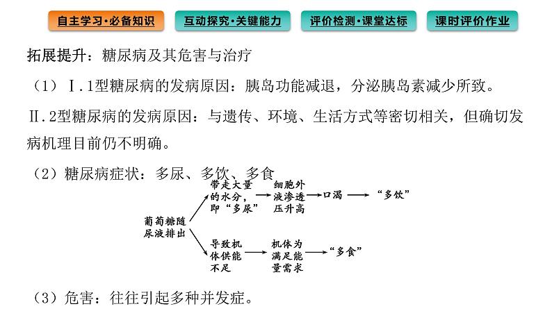 2021-2022学年高中生物新人教版选择性必修1  第3章 第2节 激素调节的过程 课件（103张）第6页