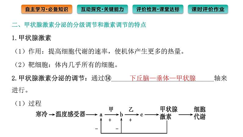 2021-2022学年高中生物新人教版选择性必修1  第3章 第2节 激素调节的过程 课件（103张）第7页