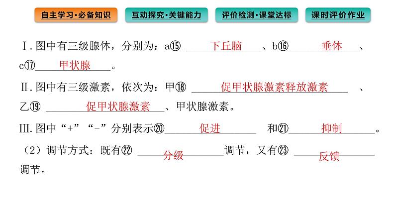 2021-2022学年高中生物新人教版选择性必修1  第3章 第2节 激素调节的过程 课件（103张）第8页