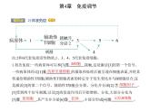 2021-2022学年高中生物新人教版选择性必修1  第4章 第2节　特异性免疫 课件（18张）