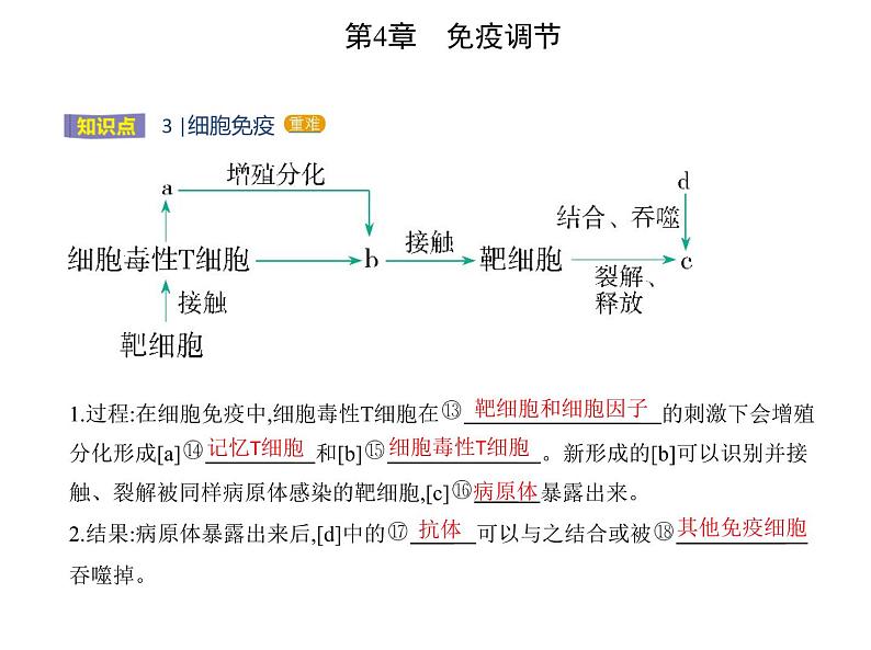 2021-2022学年高中生物新人教版选择性必修1  第4章 第2节　特异性免疫 课件（18张）第5页