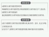 2021-2022学年高中生物新人教版选择性必修1 植物生长调节剂的应用（32张）  课件