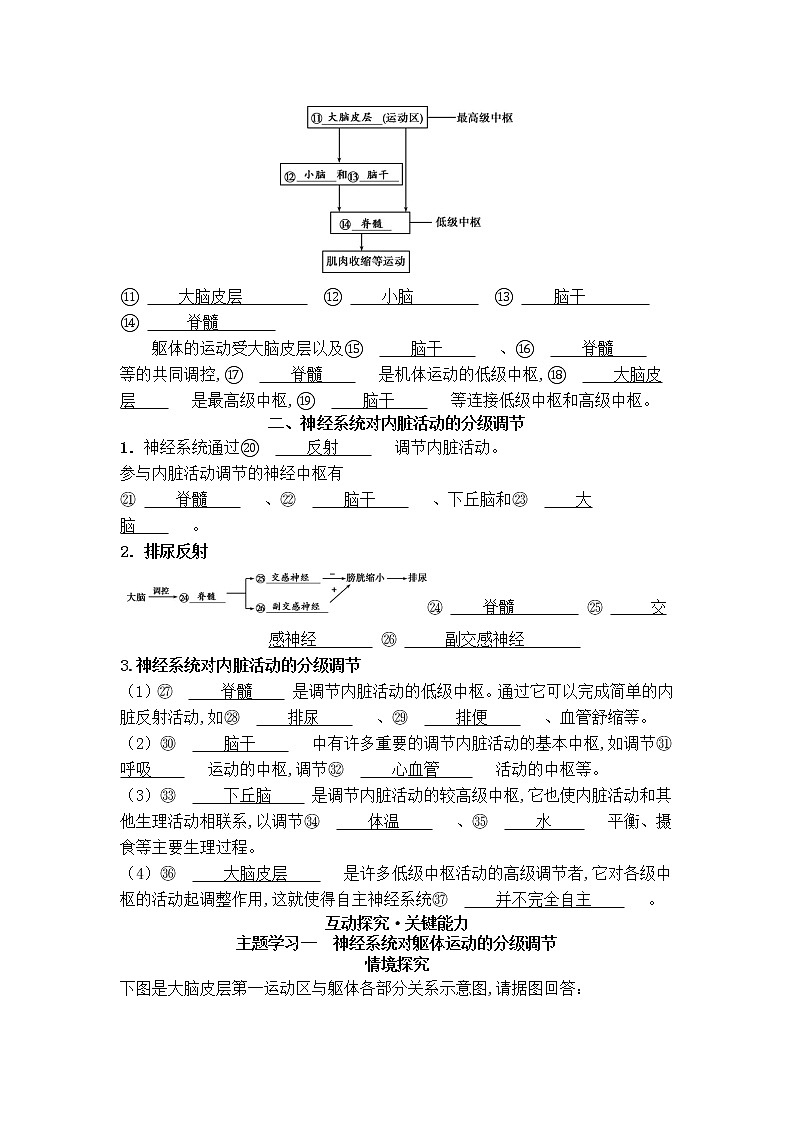 2021-2022学年新人教版生物选择性必修1 第2章 第4节 神经系统的分级调节 学案第2页