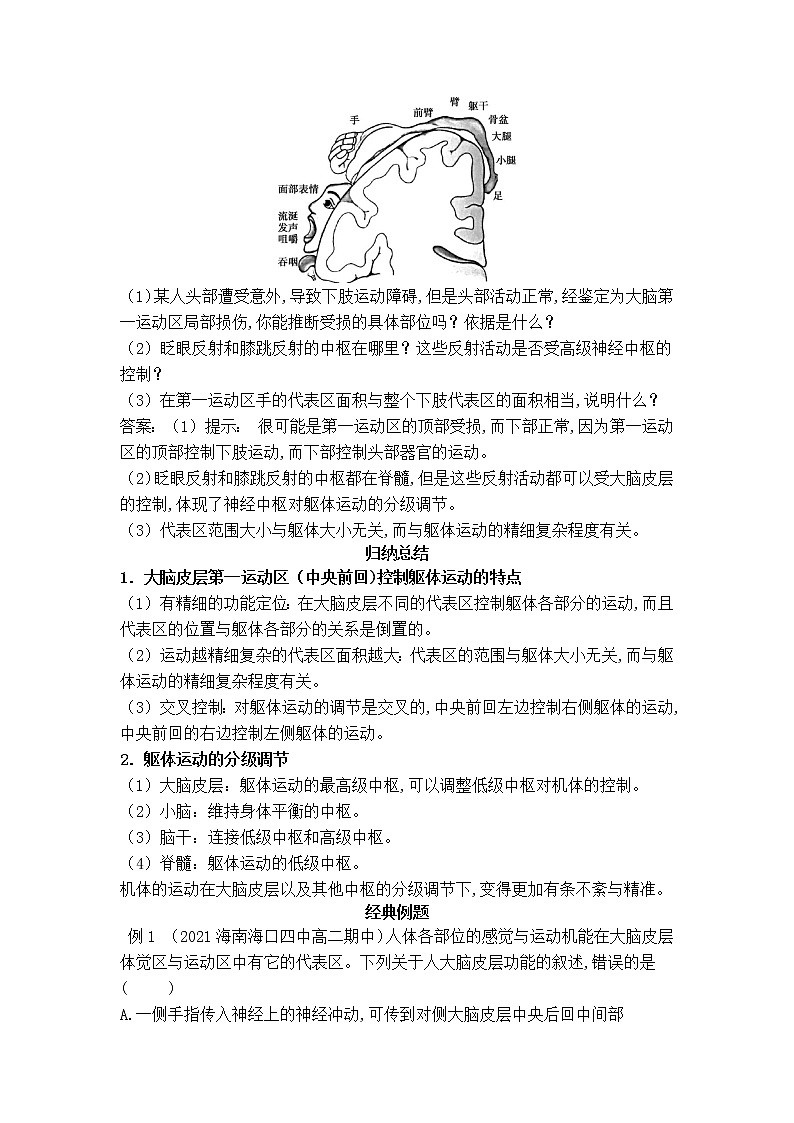 2021-2022学年新人教版生物选择性必修1 第2章 第4节 神经系统的分级调节 学案第3页