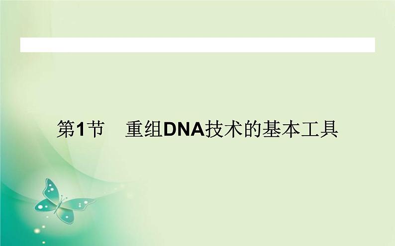 2021-2022学年高中生物新人教版选择性必修3 3.1 重组DNA技术的基本工具 课件（117张）01