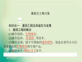 2021-2022学年高中生物新人教版选择性必修3 3.1 重组DNA技术的基本工具 课件（117张）