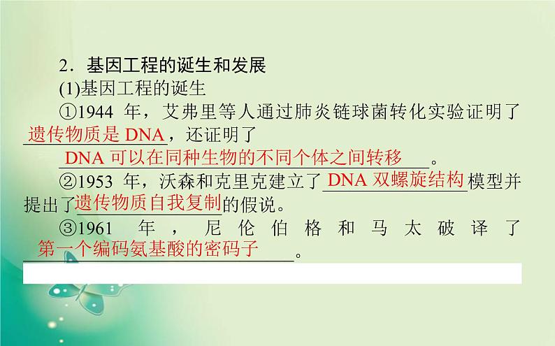 2021-2022学年高中生物新人教版选择性必修3 3.1 重组DNA技术的基本工具 课件（117张）03