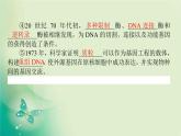 2021-2022学年高中生物新人教版选择性必修3 3.1 重组DNA技术的基本工具 课件（117张）