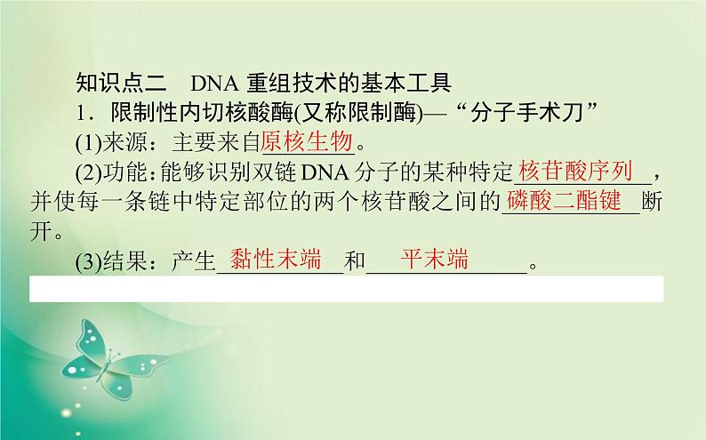 2021-2022学年高中生物新人教版选择性必修3 3.1 重组DNA技术的基本工具 课件（117张）07