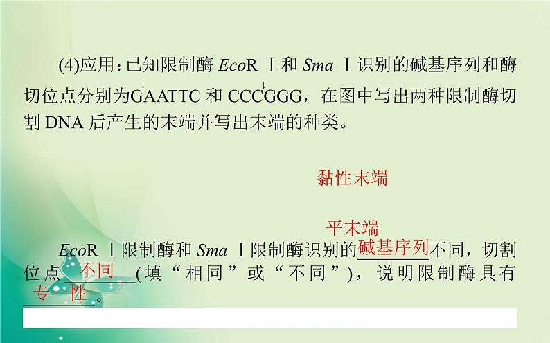 2021-2022学年高中生物新人教版选择性必修3 3.1 重组DNA技术的基本工具 课件（117张）08