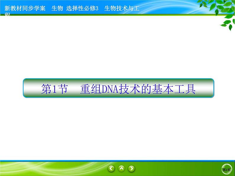 2021-2022学年高中生物新人教版选择性必修3 重组DNA技术的基本工具 课件（90张）第2页