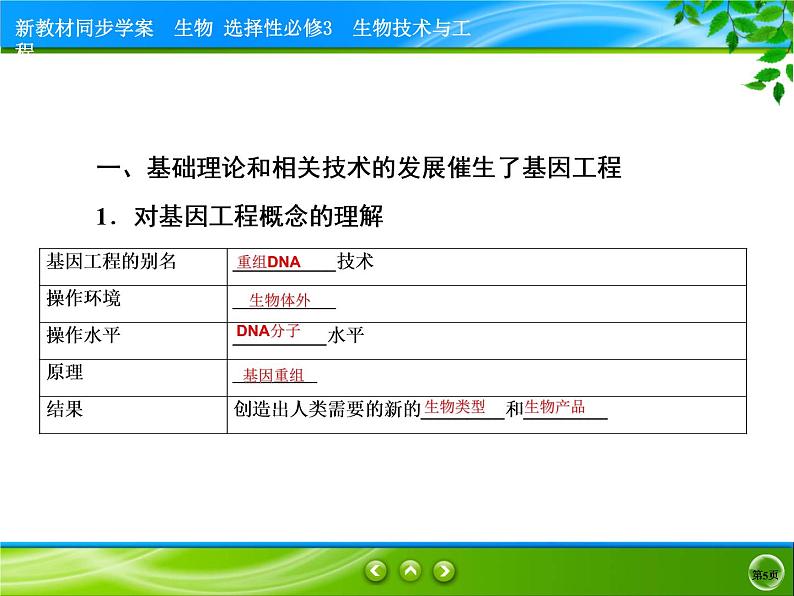 2021-2022学年高中生物新人教版选择性必修3 重组DNA技术的基本工具 课件（90张）第5页