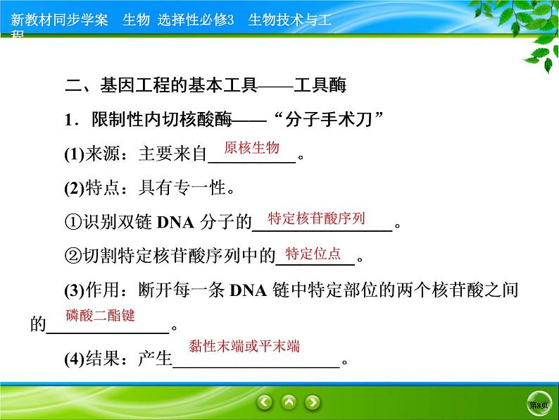 2021-2022学年高中生物新人教版选择性必修3 重组DNA技术的基本工具 课件（90张）第8页