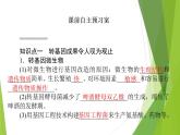 2021-2022学年高中生物新人教版选择性必修3 转基因产品的安全性 课件（66张）