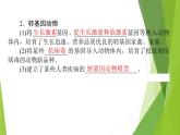 2021-2022学年高中生物新人教版选择性必修3 转基因产品的安全性 课件（66张）