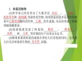 2021-2022学年高中生物新人教版选择性必修3 转基因产品的安全性 课件（66张）