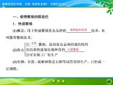 2021-2022学年高中生物新人教版选择性必修3 植物细胞工程的应用 课件（61张）