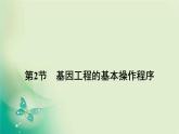 2021-2022学年高中生物新人教版选择性必修3 3.2 基因工程的基本操作程序 课件（125张）