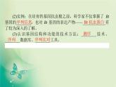 2021-2022学年高中生物新人教版选择性必修3 3.2 基因工程的基本操作程序 课件（125张）