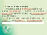 2021-2022学年高中生物新人教版选择性必修3 3.2 基因工程的基本操作程序 课件（125张）