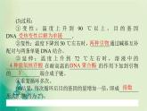2021-2022学年高中生物新人教版选择性必修3 3.2 基因工程的基本操作程序 课件（125张）