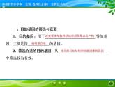 2021-2022学年高中生物新人教版选择性必修3 基因工程的基本操作程序 课件（89张）
