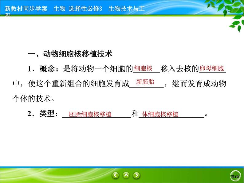 2021-2022学年高中生物新人教版选择性必修3 动物体细胞核移植技术和克隆动物 课件（48张）04