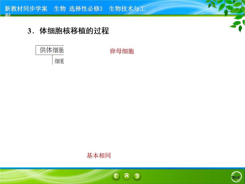 2021-2022学年高中生物新人教版选择性必修3 动物体细胞核移植技术和克隆动物 课件（48张）05