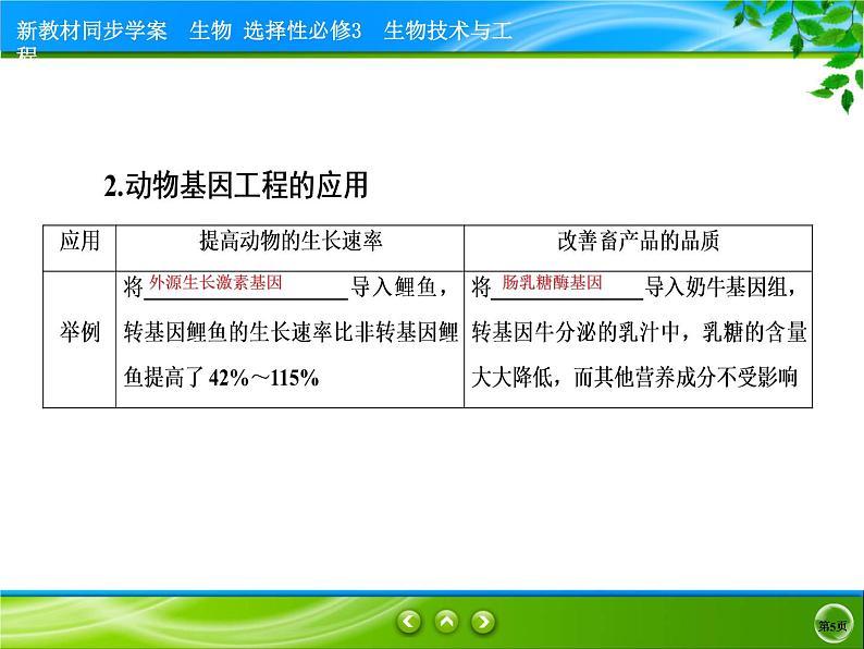 2021-2022学年高中生物新人教版选择性必修3 基因工程的应用 课件（89张）第5页