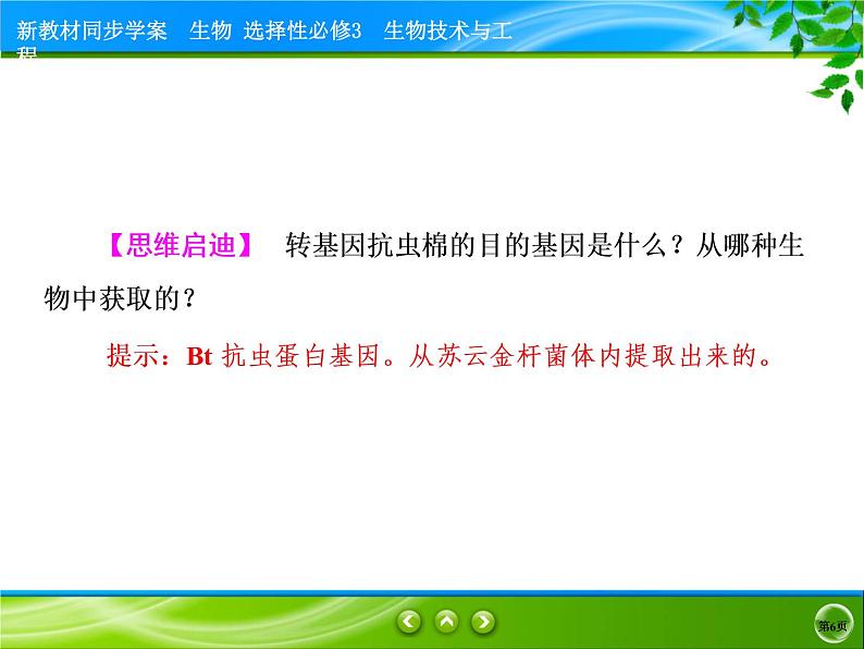 2021-2022学年高中生物新人教版选择性必修3 基因工程的应用 课件（89张）第6页