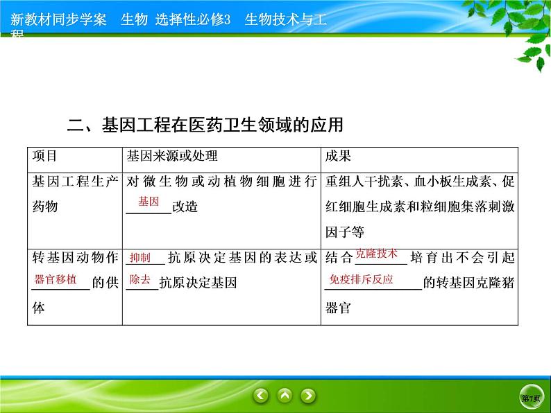 2021-2022学年高中生物新人教版选择性必修3 基因工程的应用 课件（89张）第7页