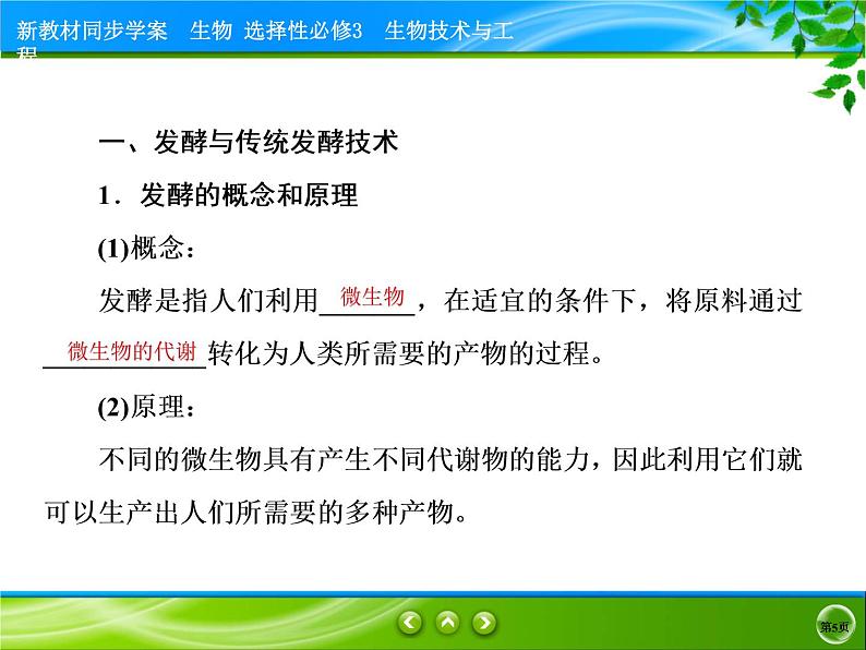 2021-2022学年高中生物新人教版选择性必修3 传统发酵技术的应用 课件（84张）第5页