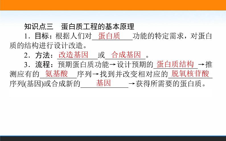 2021-2022学年高中生物新人教版选择性必修3 蛋白质工程的原理和应用 课件（63张）05