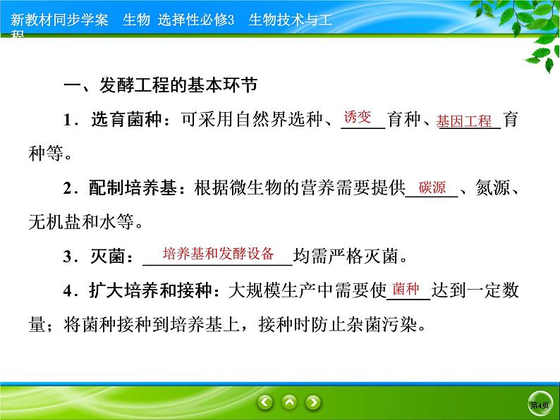 2021-2022学年高中生物新人教版选择性必修3 发酵工程及其应用 课件（61张）04