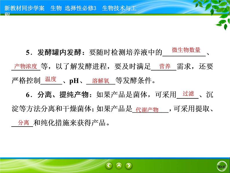 2021-2022学年高中生物新人教版选择性必修3 发酵工程及其应用 课件（61张）05