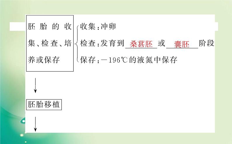 2021-2022学年高中生物新人教版选择性必修3 2.3.2 胚胎工程技术及其应用 课件（83张）第6页