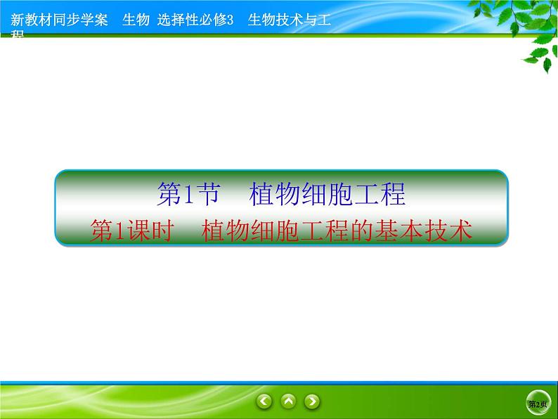 2021-2022学年高中生物新人教版选择性必修3 植物细胞工程的基本技术 课件（81张）02