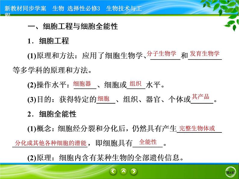 2021-2022学年高中生物新人教版选择性必修3 植物细胞工程的基本技术 课件（81张）第5页