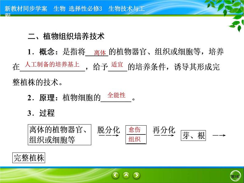 2021-2022学年高中生物新人教版选择性必修3 植物细胞工程的基本技术 课件（81张）07