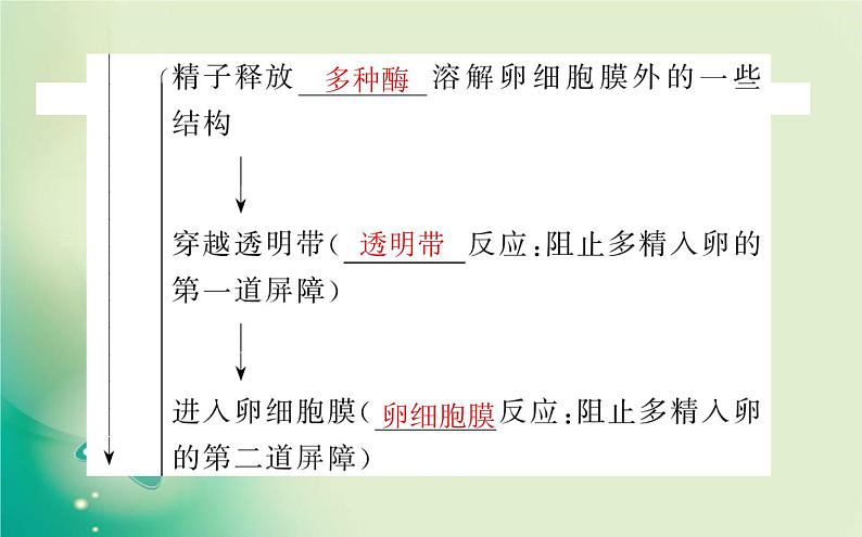 2021-2022学年高中生物新人教版选择性必修3 2.3.1 胚胎工程的理论基础 课件（68张）05